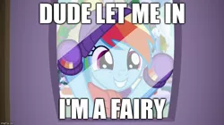Size: 888x499 | Tagged: safe, derpibooru import, edit, edited screencap, screencap, rainbow dash, pony, best gift ever, :d, caption, clothes, cute, dashabetes, dude let me in, glass, i'm a fairy, image macro, imgflip, impact font, meme, scarf, smiling, text, window, winter