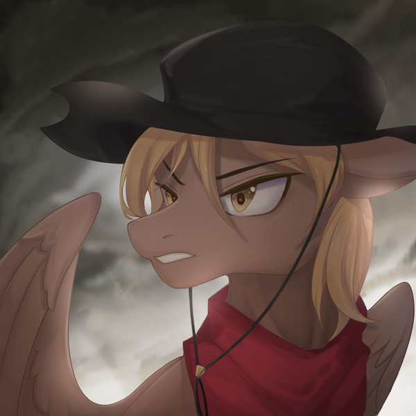 Size: 1400x1400 | Tagged: safe, artist:巷羽猫, derpibooru import, oc, oc:calamity, unofficial characters only, pegasus, pony, fallout equestria, fanfic, cloud, cloudy, commission, cowboy hat, dashite, desperado hat, fanfic art, gritted teeth, hat, male, stallion, wings