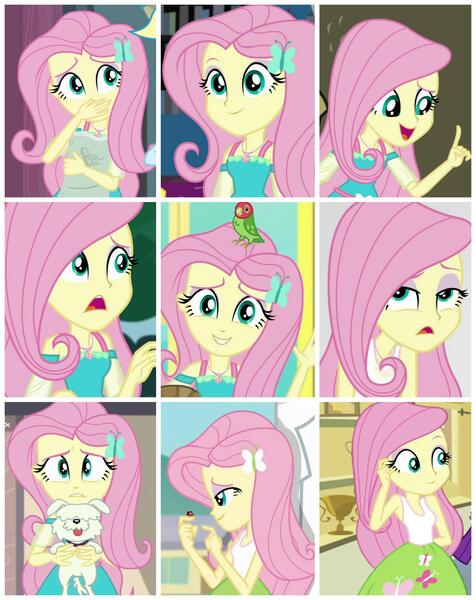 Size: 3159x3982 | Tagged: safe, derpibooru import, fluttershy, dog, insect, ladybug, equestria girls, equestria girls series, fluttershy's butterflies, mirror magic, outtakes (episode), rainbow rocks, stressed in show, stressed in show: fluttershy, spoiler:eqg series (season 2), spoiler:eqg specials, clothes, collage, cute, geode of fauna, magical geodes, shyabetes, sleeveless, tanktop