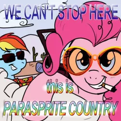Size: 500x500 | Tagged: artist:madmax, caption, car, cigarette, derpibooru import, edit, fear and loathing in las vegas, parody, pinkie pie, rainbow dash, raoul duke, safe, we can't stop here this is bat country