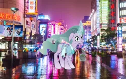 Size: 1600x1000 | Tagged: safe, artist:cozmo312bb, derpibooru import, mistmane, pony, unicorn, china, female, irl, mistmane's flower, photo, ponies in real life