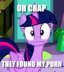 Size: 712x799 | Tagged: suggestive, derpibooru import, edit, edited screencap, screencap, twilight sparkle, twilight sparkle (alicorn), alicorn, pony, party pooped, :|, caption, cropped, faic, found your porn, image macro, impact font, meme, oh shit, party cave, solo, text