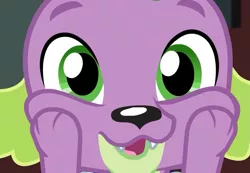 Size: 1041x720 | Tagged: safe, derpibooru import, screencap, spike, spike the regular dog, dog, equestria girls, equestria girls series, reboxing with spike!, spoiler:eqg series (season 2), cropped, cute, male, paws, spikabetes, touching face