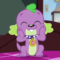 Size: 648x648 | Tagged: safe, derpibooru import, screencap, spike, spike the regular dog, dog, equestria girls, equestria girls series, reboxing with spike!, spoiler:eqg series (season 2), animated, cropped, cute, eyes closed, gif, loop, male, paws, spikabetes, spike's dog collar, squishy cheeks, touching face