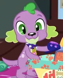 Size: 512x630 | Tagged: safe, derpibooru import, screencap, spike, spike the regular dog, dog, equestria girls, equestria girls series, reboxing with spike!, spoiler:eqg series (season 2), clothes, cute, fabulous fido's faberge flying disk, looking at you, paws, slippers, smiling, spikabetes, tail