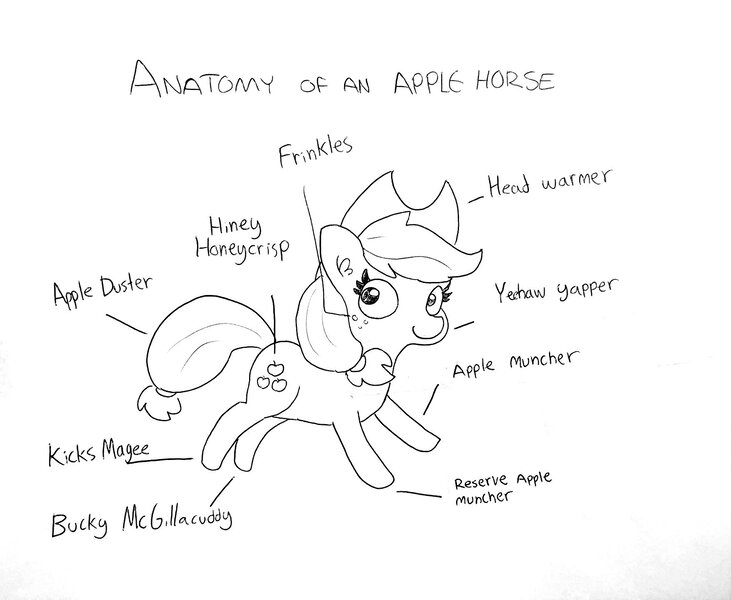 Size: 1755x1440 | Tagged: safe, artist:tjpones, derpibooru import, applejack, earth pony, pony, anatomy, anatomy guide, applejack's hat, black and white, bucky mcgillicutty, cowboy hat, cute, ear fluff, female, freckles, grayscale, hat, jackabetes, kicks mcgee, lineart, mare, monochrome, simple background, solo, text, traditional art, white background, yeehaw