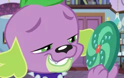 Size: 1146x720 | Tagged: safe, derpibooru import, screencap, spike, spike the regular dog, dog, equestria girls, equestria girls series, reboxing with spike!, spoiler:eqg series (season 2), collar, fabulous fido's faberge flying disk, grin, male, paws, sci-twi's room, smiling, spike's dog collar