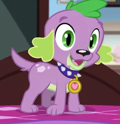 Size: 644x664 | Tagged: safe, derpibooru import, screencap, spike, spike the regular dog, dog, equestria girls, equestria girls series, reboxing with spike!, spoiler:eqg series (season 2), cropped, looking at you, male, paws, smiling, spike's dog collar