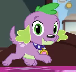 Size: 649x613 | Tagged: safe, derpibooru import, screencap, spike, spike the regular dog, dog, equestria girls, equestria girls series, reboxing with spike!, spoiler:eqg series (season 2), cropped, male, paws, smiling, spike's dog collar, tail