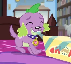 Size: 536x483 | Tagged: safe, derpibooru import, screencap, spike, spike the regular dog, dog, equestria girls, equestria girls series, reboxing with spike!, spoiler:eqg series (season 2), box, collar, cropped, cute, eyes closed, male, paws, sci-twi's room, smiling, solo, spikabetes, tail