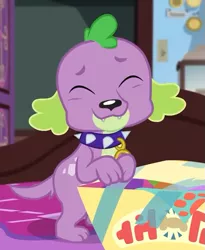 Size: 591x720 | Tagged: safe, derpibooru import, screencap, spike, spike the regular dog, dog, equestria girls, equestria girls series, reboxing with spike!, spoiler:eqg series (season 2), box, cropped, cute, embarrassed grin, eyes closed, male, paws, sci-twi's room, smiling, spikabetes, spike's dog collar