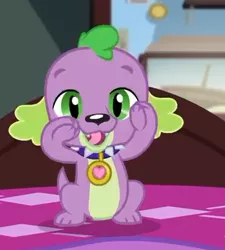 Size: 391x434 | Tagged: safe, derpibooru import, screencap, spike, spike the regular dog, dog, equestria girls, equestria girls series, reboxing with spike!, spoiler:eqg series (season 2), collar, cropped, male, paws, sci-twi's room, smiling, solo, spike's dog collar, tail