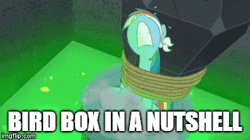 Size: 360x202 | Tagged: safe, derpibooru import, edit, edited screencap, screencap, rainbow dash, pony, daring done?, animated, bird box, blindfold, caption, female, gif, gif with captions, image macro, impact font, mare, meme, nose in the air, rope, solo, text, tied up, volumetric mouth