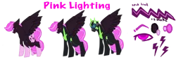 Size: 1024x366 | Tagged: safe, artist:cookie-cat-9551, derpibooru import, oc, oc:pink lightning, unofficial characters only, pegasus, pony, blaze (coat marking), clothes, freckles, helmet, male, reference sheet, simple background, solo, spread wings, stallion, the washouts, transparent background, uniform, washouts uniform, wings