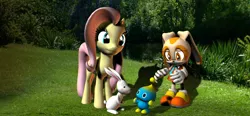 Size: 1568x726 | Tagged: 3d, angel bunny, artist:hectorny, chao, cheese chao, cream the rabbit, crossover, derpibooru import, fluttershy, safe, sonic the hedgehog (series)