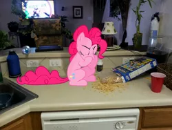 Size: 2048x1536 | Tagged: safe, artist:emedina13, derpibooru import, pinkie pie, pony, cereal, eating, food, irl, kellogg's, nom, photo, ponies in real life, solo, vector