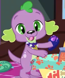 Size: 524x630 | Tagged: safe, derpibooru import, screencap, spike, spike the regular dog, dog, equestria girls, equestria girls series, reboxing with spike!, spoiler:eqg series (season 2), clothes, collar, cropped, paws, slippers, smiling, spike's dog collar, tail
