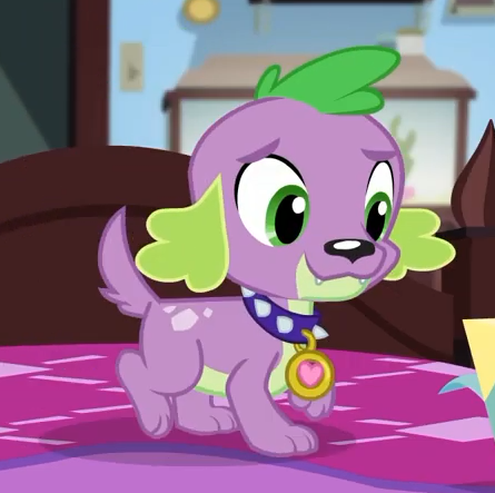 Size: 445x443 | Tagged: safe, derpibooru import, screencap, spike, spike the regular dog, dog, equestria girls, equestria girls series, reboxing with spike!, spoiler:eqg series (season 2), collar, cropped, male, paws, sci-twi's room, spike's dog collar, tail