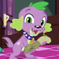 Size: 624x630 | Tagged: safe, derpibooru import, screencap, spike, spike the regular dog, dog, equestria girls, equestria girls series, reboxing with spike!, spoiler:eqg series (season 2), collar, cropped, dirty sock, male, paws, smelly, smiling, spike's dog collar, tail