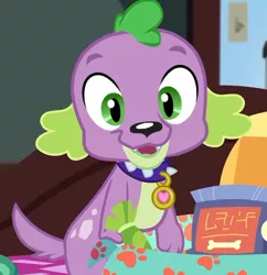 Size: 698x720 | Tagged: safe, derpibooru import, screencap, spike, spike the regular dog, dog, equestria girls, equestria girls series, reboxing with spike!, spoiler:eqg series (season 2), cropped, looking at you, male, paws, written equestrian