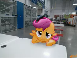 Size: 3264x2448 | Tagged: safe, artist:ojhat, derpibooru import, scootaloo, pony, bored, irl, photo, ponies in real life, sam's club, solo, table, vector