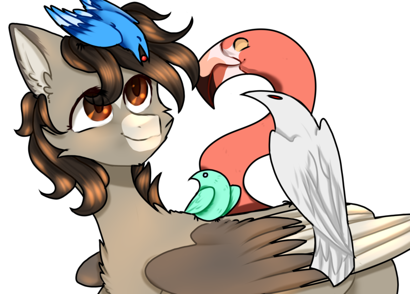 Size: 3084x2212 | Tagged: artist:lama-fyrsenya9, bird, bluebird, blue jay, brown eyes, cat tail, chest fluff, derpibooru import, flamingo, floppy ears, fluffy, happy, looking up, male, oc, oc:xor, raven (bird), safe, simple background, smiling, solo, sphinx, sphinx oc, transparent background, unofficial characters only, wings