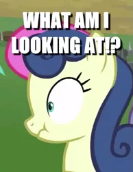 Size: 415x535 | Tagged: safe, derpibooru import, edit, edited screencap, screencap, bon bon, sweetie drops, earth pony, pony, the washouts (episode), caption, cropped, exclamation point, image macro, interrobang, meme, question mark, shocked, text