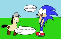 Size: 1100x700 | Tagged: 1000 hours in ms paint, artist:mudlove2, crossover, derpibooru import, dialogue, oc, oc:mudlove, safe, sonic the hedgehog, sonic the hedgehog (series), speech bubble