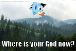 Size: 1024x684 | Tagged: ceiling cat, derpibooru import, editor:i-shooped-a-pwny, rainbow dash, safe, where is your god now?