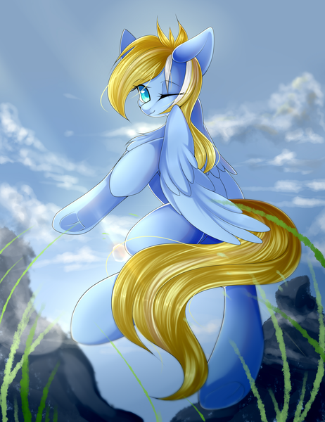 Size: 2000x2600 | Tagged: safe, artist:玉莺, derpibooru import, oc, oc:enderby, unofficial characters only, pegasus, pony, blue coat, chest fluff, cloud, commission, detailed background, grass, looking at you, male, one eye closed, rock, sky, smiling, solo, spread wings, stallion, wings