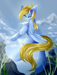 Size: 2000x2600 | Tagged: safe, artist:玉莺, derpibooru import, oc, oc:enderby, unofficial characters only, pegasus, pony, blue coat, chest fluff, cloud, commission, detailed background, grass, looking at you, male, one eye closed, rock, sky, smiling, solo, spread wings, stallion, wings