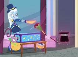 Size: 540x397 | Tagged: safe, derpibooru import, screencap, spike, spike the regular dog, trixie, dog, equestria girls, equestria girls series, street magic with trixie, spoiler:eqg series (season 2), bouquet, box, box sawing trick, deck of cards, flower, hat, magic trick, top hat