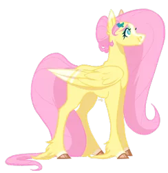 Size: 800x818 | Tagged: safe, artist:wolfyfree, derpibooru import, fluttershy, pegasus, pony, alternate hairstyle, blaze (coat marking), colored hooves, colored wings, colored wingtips, female, folded wings, mare, realistic horse legs, simple background, smiling, solo, standing, transparent background, unshorn fetlocks, wings