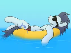 Size: 4032x3024 | Tagged: suggestive, artist:tacomytaco, derpibooru import, soarin', pegasus, pony, belly button, chest fluff, clothes, inner tube, male, partial nudity, relaxing, solo, speedo, sunglasses, swimsuit, topless, water
