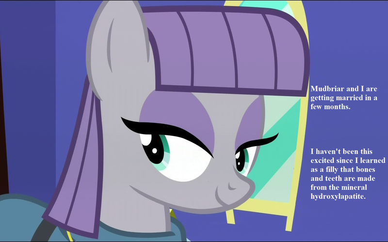 Size: 1728x1080 | Tagged: safe, derpibooru import, edit, edited screencap, screencap, maud pie, mudbriar, pony, maud pie (episode), the maud couple, cropped, cute, dialogue, female, implied mudbriar, implied wedding, male, maudabetes, maudbriar, shipping, smiling, straight, when she smiles