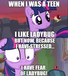 Size: 500x562 | Tagged: safe, derpibooru import, edit, edited screencap, screencap, twilight sparkle, twilight sparkle (alicorn), alicorn, insect, ladybug, pony, it ain't easy being breezies, season 4, starlight the hypnotist, spoiler:interseason shorts, caption, comic, comparison, engrish, female, floppy ears, grammar error, image macro, impact font, mare, screencap comic, solo, text, twilight hates ladybugs