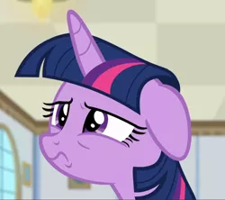 Size: 1056x938 | Tagged: safe, derpibooru import, screencap, twilight sparkle, twilight sparkle (alicorn), alicorn, pony, friendship university, close-up, cropped, female, floppy ears, sad, sad face