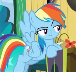 Size: 734x695 | Tagged: safe, derpibooru import, screencap, rainbow dash, pegasus, pony, the washouts (episode), cropped, female, flying, hooves on hips, leaning, lidded eyes, rainbow dash is not amused, raised eyebrow, solo, unamused