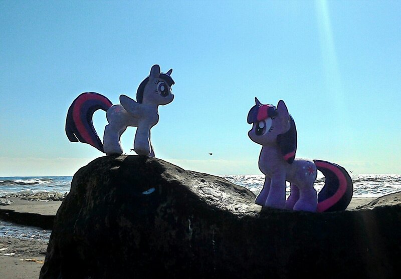 Size: 1761x1226 | Tagged: safe, artist:hihin1993, derpibooru import, twilight sparkle, twilight sparkle (alicorn), alicorn, pony, beach, irl, japan, ocean, photo, plushie, rock, self ponidox, solo