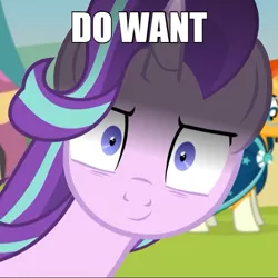 Size: 600x599 | Tagged: safe, artist:agrol, derpibooru import, edit, edited edit, starlight glimmer, sunburst, pony, >:), caption, close-up, death stare, extreme close up, female, glarelight glimmer, horn, image macro, impact font, inconvenient starlight, inverted mouth, looking at you, male, mare, meme, reaction image, shipping, shrunken pupils, smiling, smirk, snaplight glimmer, stallion, starburst, stare, straight, text, time for two, varying degrees of want, want, yandere, yandere glimmer