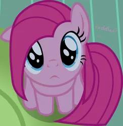 Size: 1142x1173 | Tagged: safe, artist:badumsquish, derpibooru import, edit, part of a set, pinkie pie, earth pony, pony, badumsquish's kitties, bronybait, cute, cuteamena, daaaaaaaaaaaw, dialogue, dialogue edit, female, looking at you, looking up, pink text, pinkamena diane pie, puppy dog eyes, sad, show accurate, sitting, solo, weapons-grade cute, woobie