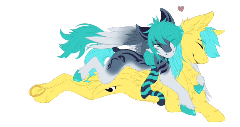 Size: 2016x1065 | Tagged: safe, artist:requiem♥, derpibooru import, oc, oc:liekosy, oc:nayhade, unofficial characters only, pegasus, pony, blue eyes, blue mane, blue tail, cheek fluff, clothes, coat markings, colored hooves, commission, cute, cutie mark, ear fluff, female, fluffy, grey fur, heart, hooves, long mane, long tail, male, oc x oc, scarf, shipping, simple background, smile face, smiling, straight, tail wrap, transparent background, underhoof, white fur, wings, ych result, yellow fur