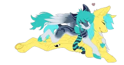 Size: 2016x1065 | Tagged: safe, artist:requiem♥, derpibooru import, oc, oc:liekosy, oc:nayhade, unofficial characters only, pegasus, pony, blue eyes, blue mane, blue tail, cheek fluff, clothes, coat markings, colored hooves, commission, cute, cutie mark, ear fluff, female, fluffy, grey fur, heart, hooves, long mane, long tail, male, oc x oc, scarf, shipping, simple background, smile face, smiling, straight, tail wrap, transparent background, underhoof, white fur, wings, ych result, yellow fur