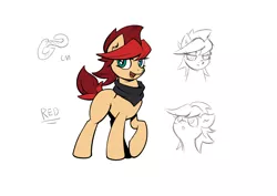 Size: 1280x905 | Tagged: safe, derpibooru import, oc, oc:red pone (8chan), pony, /pone/, 8chan, bandana, concept art, mascot, sketch, sketch dump