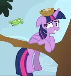 Size: 883x942 | Tagged: alicorn, awkward, awkward smile, bird, cropped, derpibooru import, floppy ears, glare, nest, princess twilight sparkle (episode), safe, screencap, smiling, solo, teeth, tree, tree branch, twilight sparkle, twilight sparkle (alicorn)