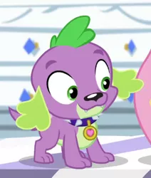 Size: 302x356 | Tagged: safe, derpibooru import, screencap, spike, spike the regular dog, dog, dance magic, equestria girls, spoiler:eqg specials, cropped, male, paws, smiling, spike's dog collar