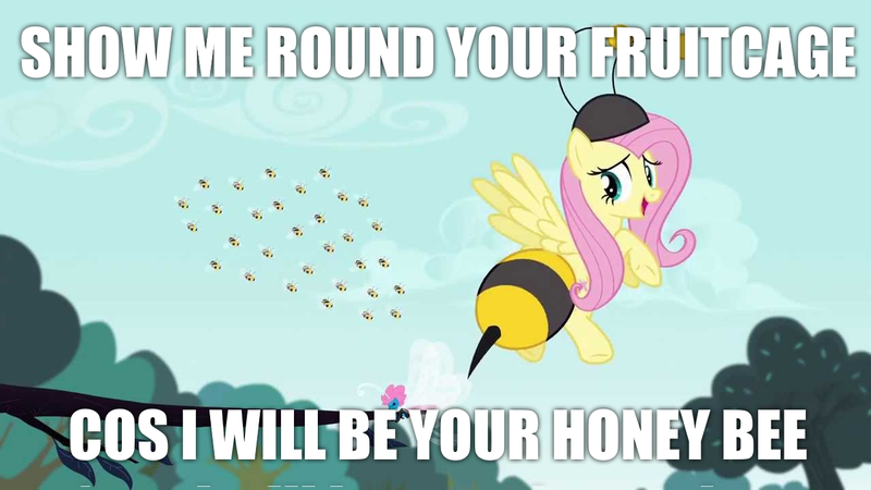 Size: 1280x720 | Tagged: animal costume, bee, bee costume, caption, clothes, costume, derpibooru import, edit, edited screencap, editor:grapefruitface, fluttershy, hammer, image macro, insect, it ain't easy being breezies, lyrics, meme, peter gabriel, safe, screencap, sledgehammer, solo focus, song reference, text