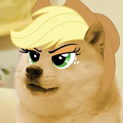 Size: 720x720 | Tagged: safe, artist:rayscratch, derpibooru import, edit, applejack, dog, pony, shiba inu, applejack's hat, cowboy hat, doge, female, hat, meme, shibe, solo, wat