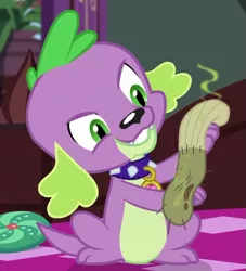 Size: 571x630 | Tagged: safe, derpibooru import, screencap, spike, spike the regular dog, dog, equestria girls, equestria girls series, reboxing with spike!, spoiler:eqg series (season 2), cropped, dirty sock, paws, solo, spike's dog collar, tail