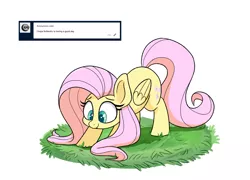 Size: 1280x922 | Tagged: safe, artist:heir-of-rick, derpibooru import, fluttershy, pegasus, pony, ask, cricket (insect), cute, face down ass up, female, folded wings, grass, looking at something, looking down, mare, shyabetes, smiling, solo, three quarter view, tumblr, wings